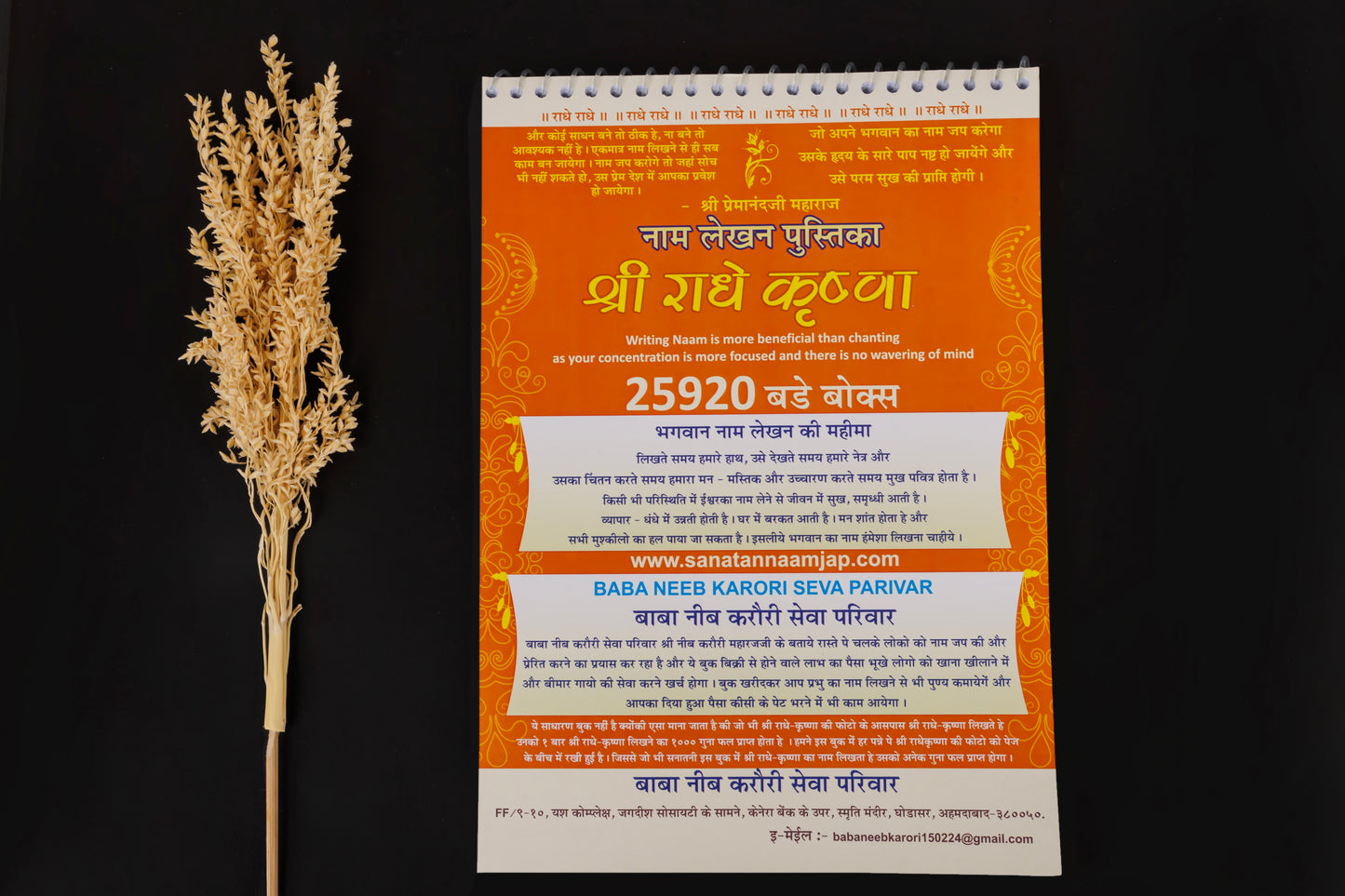 राधाकृष्ण नाम लेखन पुस्तिका