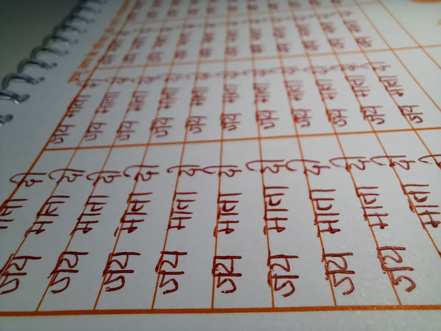 जय माता जी नाम लेखन पुस्तिका